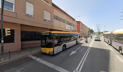 Palmahia en Sant Boi de Llobregat
