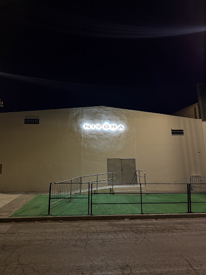 Ambiente nocturno en Olivares