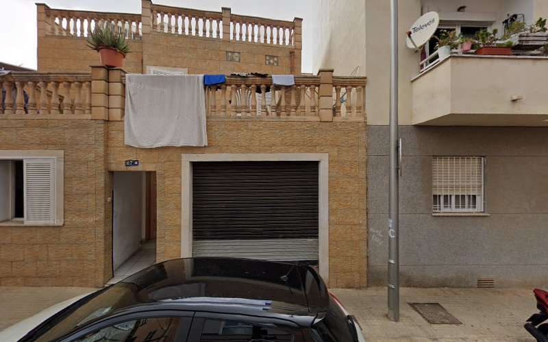 El DDPUSSY en Palma